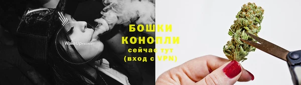 шишки Нефтекумск
