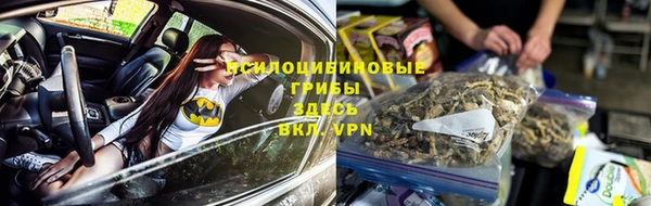 мдма Няндома