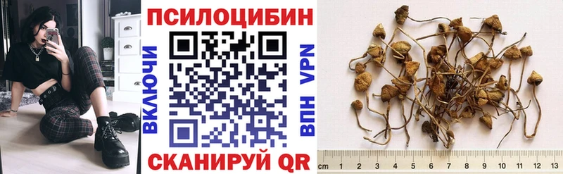 Галлюциногенные грибы мухоморы  как найти   Северо-Курильск 